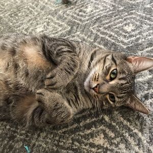 Meet your Posher, Janie